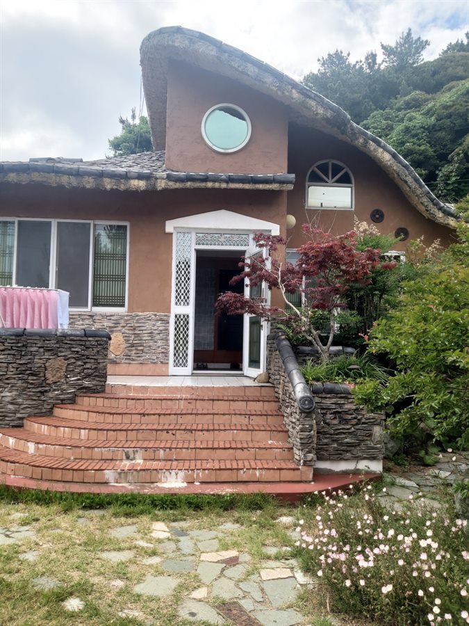 본채 독채